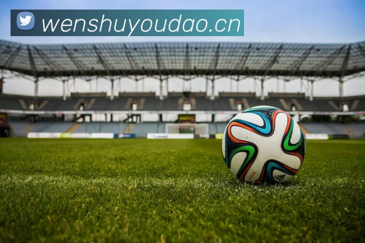 开云官方在线登陆平台平台生态图